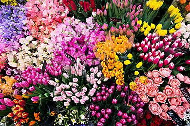 《格兰蒂亚1&2》PS4奖杯泄露 列表独立分开发售